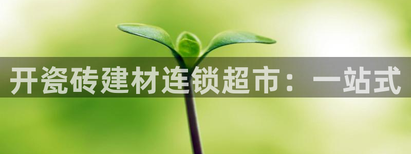 杏鑫娱乐平台登录