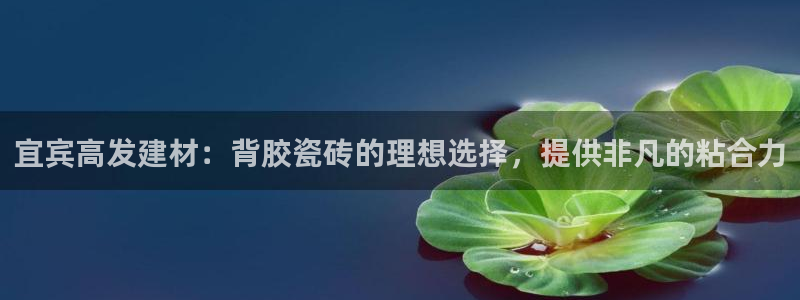 杏鑫平台代理注册登录不了怎么办呀苹果