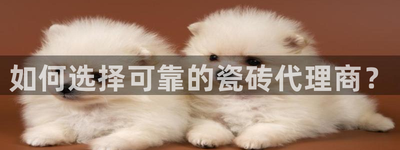 杏鑫平台靠谱吗