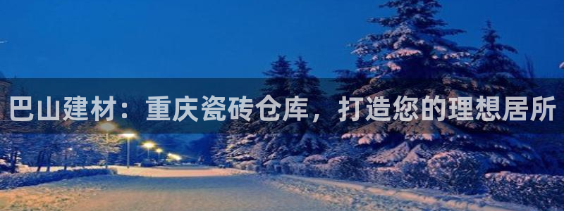 杏鑫平台代理注册流程图