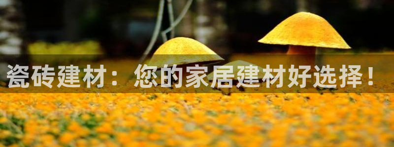 杏鑫娱乐-官方网站