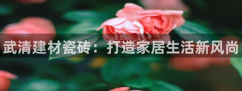 杏鑫平台注册网址是什么