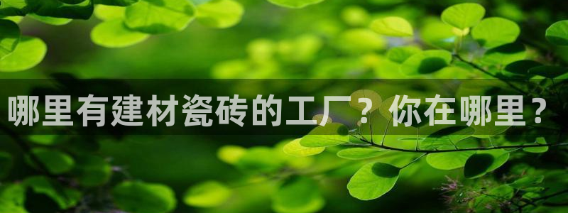 杏鑫平台代理注册要钱吗