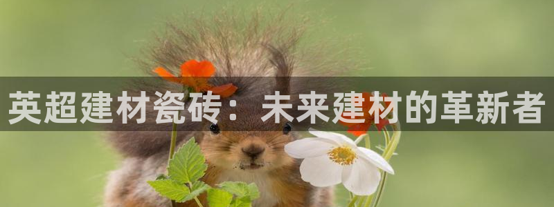 杏鑫代理注册平台