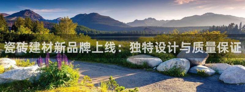 杏鑫平台在线注册怎么注册