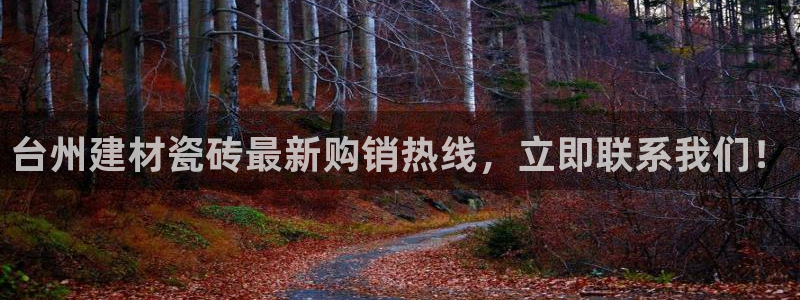 杏鑫平台注册地址