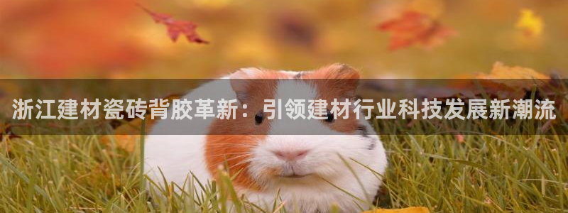 杏鑫娱乐负责人