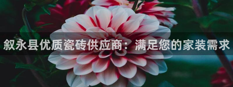 杏鑫娱乐平台登录