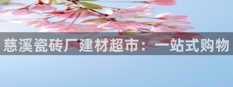 杏鑫代理注册平台