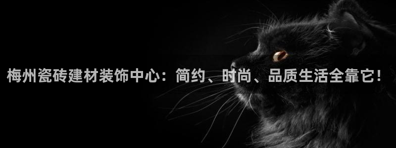 杏鑫有亏损返点吗