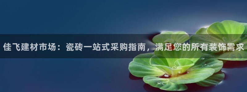 杏鑫平台代理注册