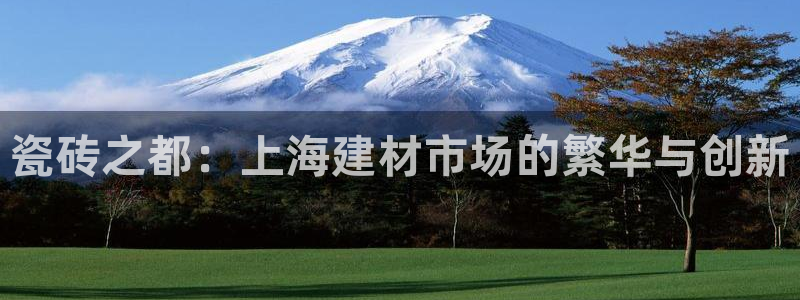 杏鑫平台代理注册流程视频