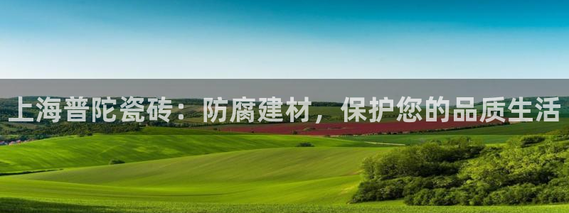 杏鑫平台在线注册流程