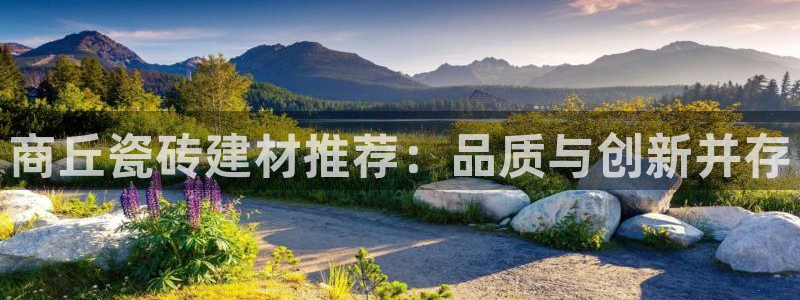 杏鑫平台代理注册