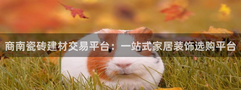 杏鑫注册登录网