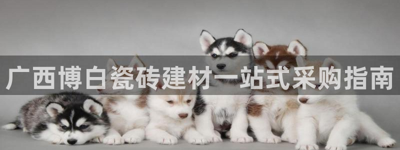 杏鑫平台代理怎么样可靠吗