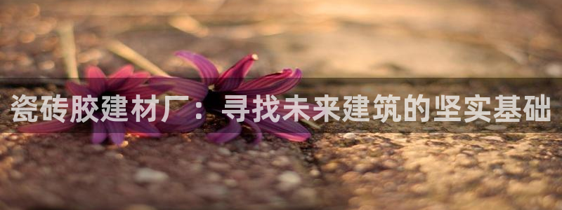 杏鑫平台正规吗可信吗