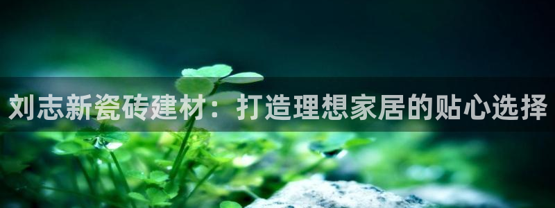 杏鑫平台代理怎么做