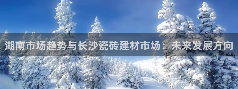 杏鑫平台怎么样黑钱吗是真的吗还是假的