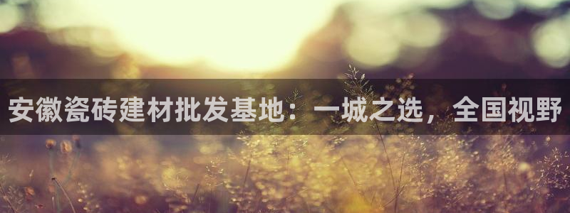 杏鑫平台代理注册流程图