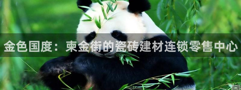 杏鑫平台代理怎么做