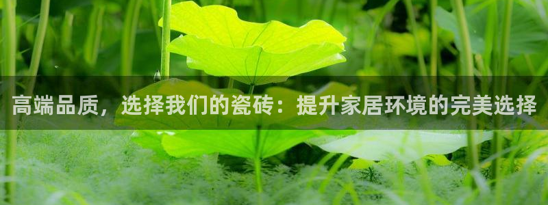 杏鑫平台怎么样黑钱吗是真的吗