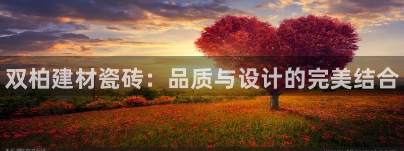 杏鑫平台代理怎么做赚钱