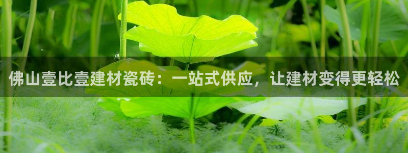 杏鑫官网
