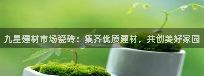 杏鑫平台野马联盟