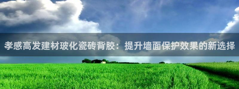 杏鑫平台代理注册登录不了怎么办呀视频