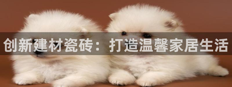 杏鑫娱乐怎么样